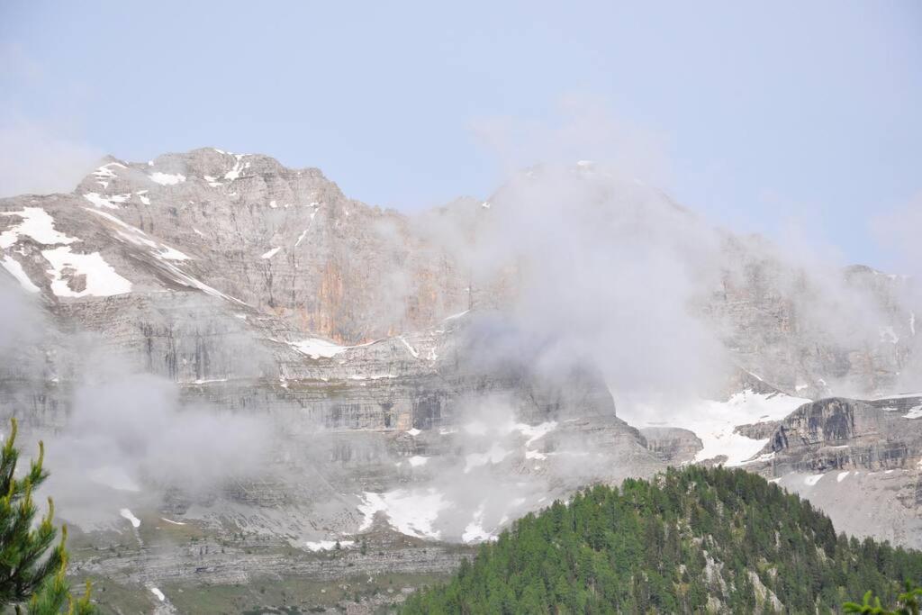 Sunny Two Room Apartment In Campo Carlo Magno Madonna di Campiglio Exterior photo