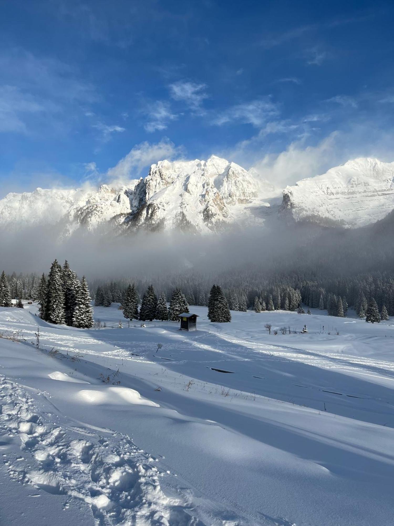 Sunny Two Room Apartment In Campo Carlo Magno Madonna di Campiglio Exterior photo